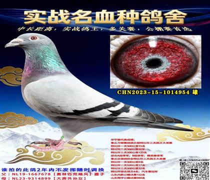 ����ƥ��쫷�ֱ��