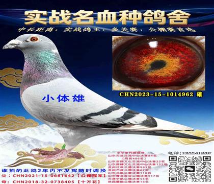 ����������������