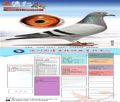 ���徺���Ĺ��ۺϹھ�ֱ��X���徺���Ĺ��ۺ�20��