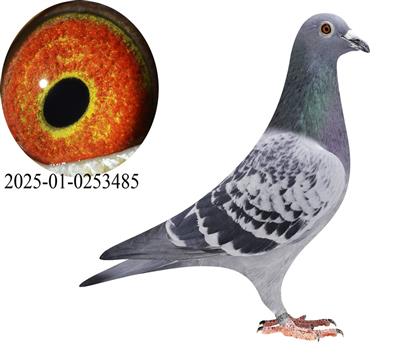 ��ʱ�������½�ķ485