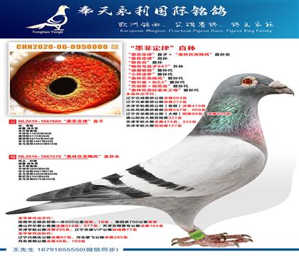 “超级雄0000”“墨菲定律”直子ד奥林匹克飓风”直孙女