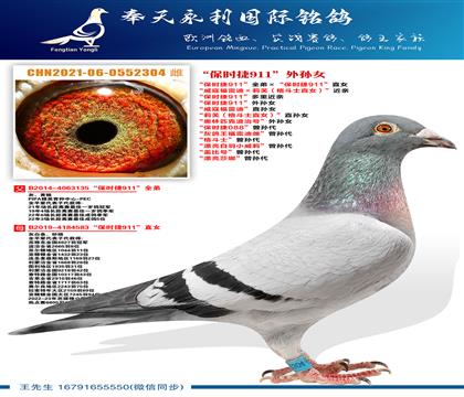 “保时捷911”外孙女“保时捷911”全弟ד保时捷911”