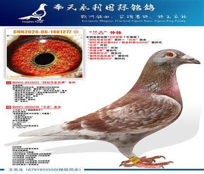 “好红号全兄弟”直孙ד兰吉”直女 “好红号全兄弟992×黄