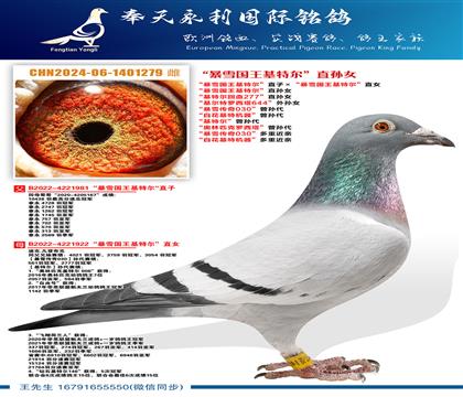 “暴雪国王基特尔”直孙女 “基特尔回血277”直孙女 “基尔