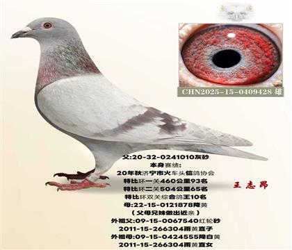 ����10X304������