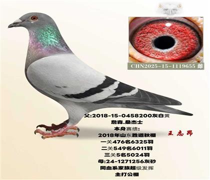 ����5��ֱŮ