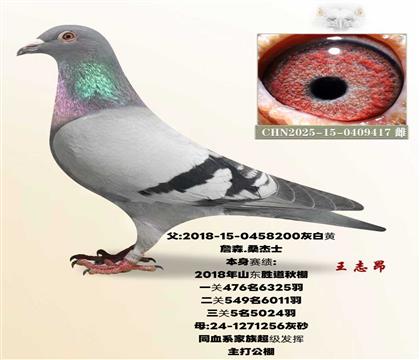 ����5��ֱŮ