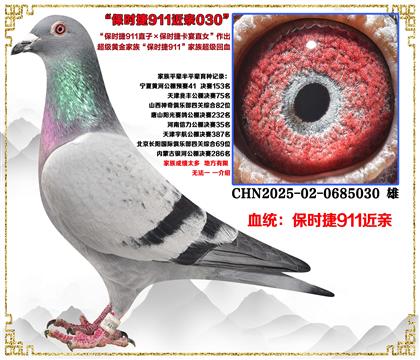 ����ʱ��911ֱ��X��ʱ��911ȫ�ֵ�ֱŮ������