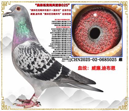 ����.�ϲ���������ƥ��쫷��ֱ�ӡ�ֱ��Ů�����׻�Ѫ