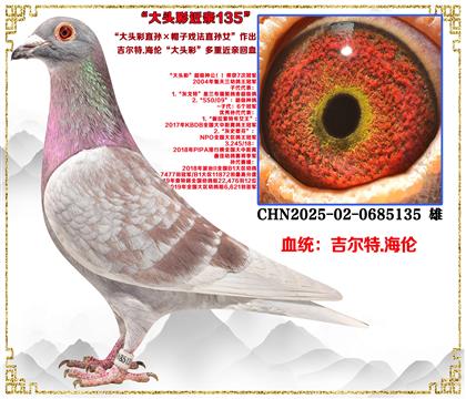 ������.���ס���ͷ��ֱ���ñ��Ϸ��ֱ��Ů������