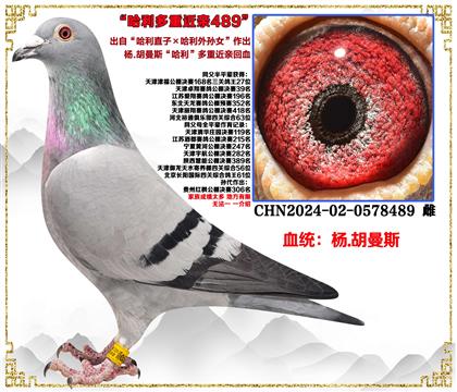 ��.����˹������ֱ�ӡ���������Ů�����׻�Ѫ