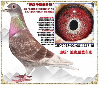 �Ͽ˷��ǲ��ˡ�������ֱ��X������ֱ��Ů�����׻�Ѫ