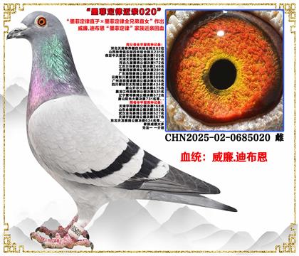 ����.�ϲ�����ī�ƶ���ֱ�ӡ�ī�ƶ���ȫ�ֵ�ֱŮ��