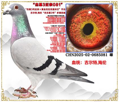 ������.���ס��ܻ�3�Ž��ס��ƽ������ֱ��Ů������