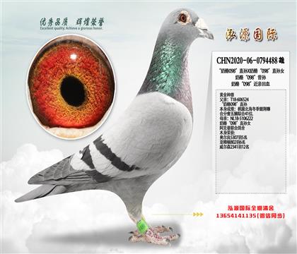 ���Ƽ���������098��ֱ��X���ҡ�098��ֱ��Ů