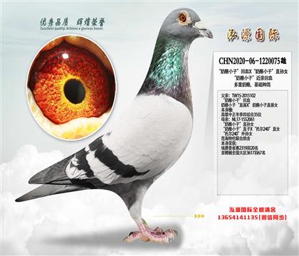 ������С�ӡ���ѪX������С�ӡ�ֱ��Ů