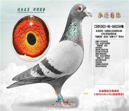 ������098��ֱ��X������С�ӡ�����Ů