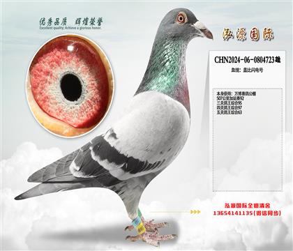 �Ǳ������ �򲩹�����ظ���63