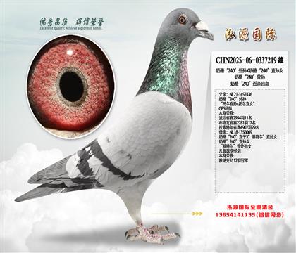 ���ҡ�240������X���ҡ�240��ֱ��Ů