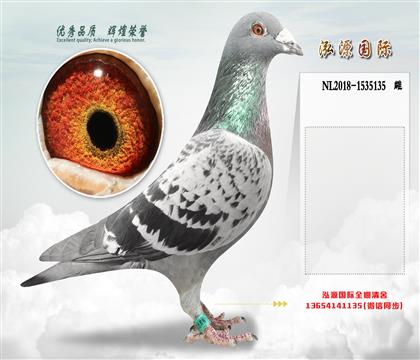 �������λĸ�� С�Ͽ�X�����޵� �Ϸ���ѡ