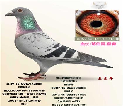 ��һ��������