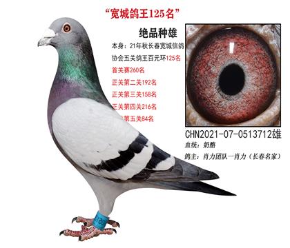 ����125������������Ф����