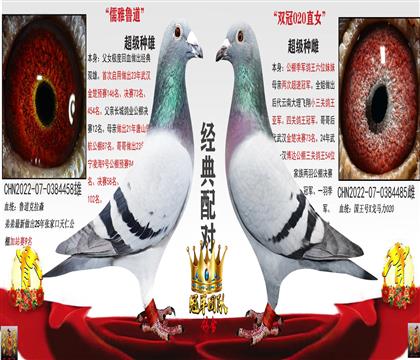 �������73���������