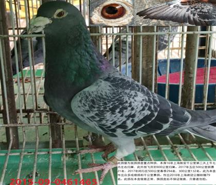 �°�ǧ����ɼ���