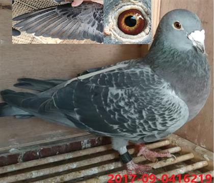 ��ڶ����ִ�