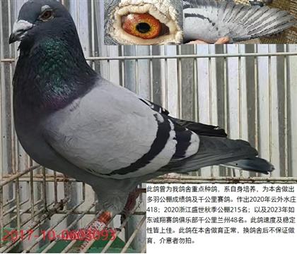 ���ݻ����ۣ���Ʒ��