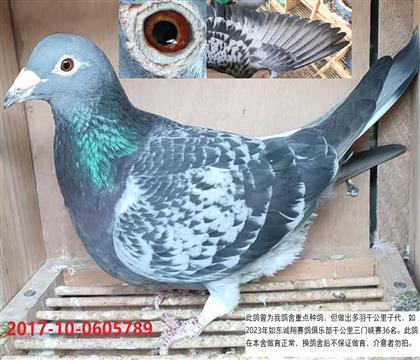 ��ڶ�����