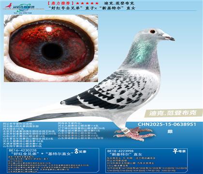 ���ú��ȫ�ֵܡ�ֱ��x���»��ض���ֱŮ