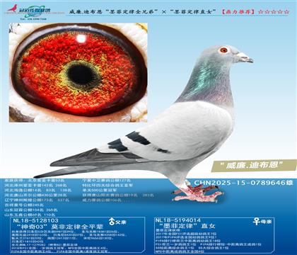 ����.�ϲ�����ī�ƶ���ȫ�ֵܡ�����ī�ƶ���ֱŮ��