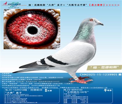 �������˹���󱼡�ֱ�ӡ������޺�ȫƽ����