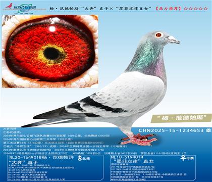 �������˹���󱼡�ֱ�ӡ���ī�ƶ���ֱŮ��