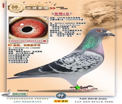 2-[����ƥ��003]+[���������۴�]����4��