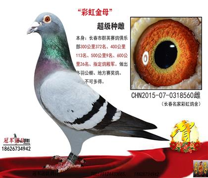 �Ķ��ʹ˸룡һ����ѫ�ִƣ���������