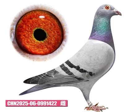 ��˹��-����Ů��422