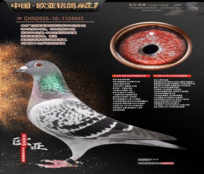 �Ͽ˷��ǲ���ԭ��440X�ƽ��ŷ40000��