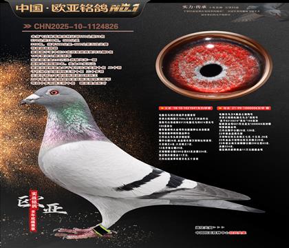 ����041Xɣ��ʿ006