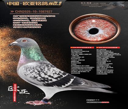 �Ͽ˷��ǲ���ԭ��440X�ƽ��ŷ40000��