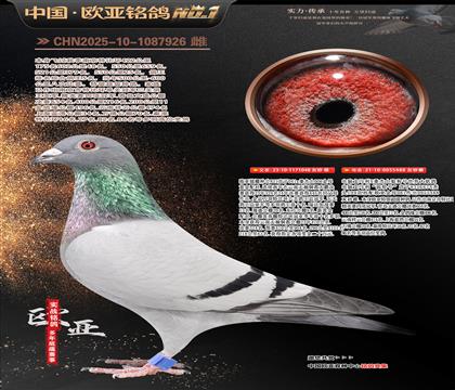 ����ɣ��ʿ048X�ƽ����ֱŮ488