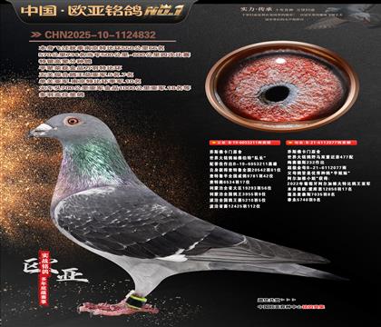 ����ԭ��211X077