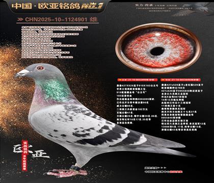 ղɭ919ֱ��999Xղɭ766ֱŮ840