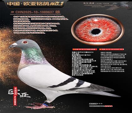 ����ɣ��ʿ048X���Ը�����453