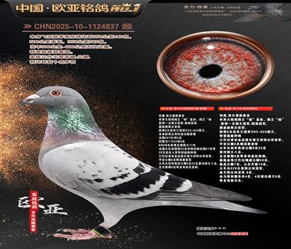 ���ºض���˹ԭ��851X895