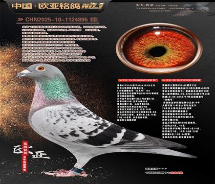 ղɭ919ֱ��603Xΰ��ڰ�281