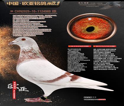 �Ͽ�.���ǲ���Ѫͳ���ض�295X���ض�ֱ��394