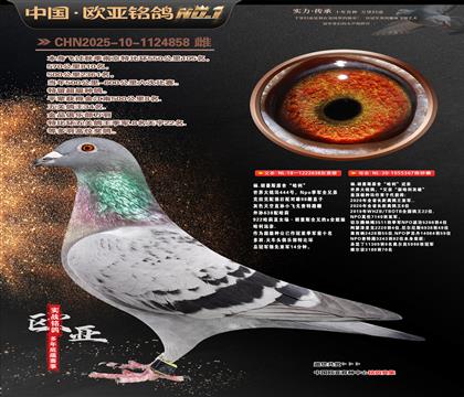 ��.����˹ԭ�ᡰ������638X��������367