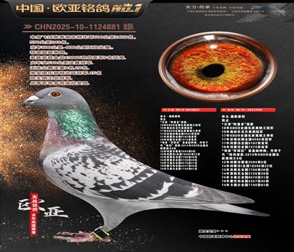 ������ֱ��855X������ֱŮ499